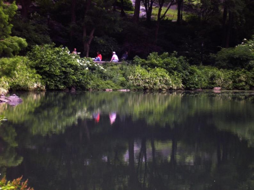 Nowojorski Central Park. Największy park w Nowym Jorku, jednak wszystko jest w nim zrobione ręką człowieka. Pod tą masą zieleni, jest beton, a pod nim cała machineria, która włącza sztuczne strumyczki, wodospady, źródełka. Nie ma w nim niestety nic nat...