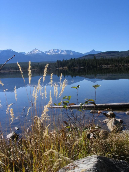 Jasper, Alberta, Canada
7-8 X 2006