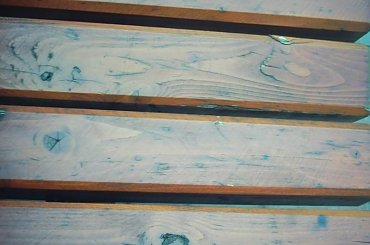 #las #deptak #KubuśPuchatek