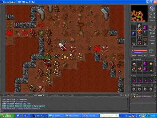 Hunt DS #tibia