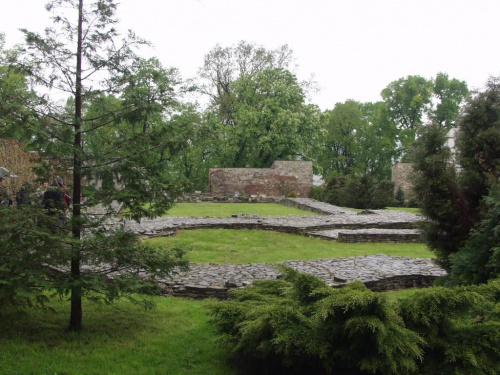 ruiny palatium przemyskiego