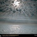 Atlantic Ocean off the Coast of Nova Scotia, Canada, 1997
Photograph by Flip Nicklin