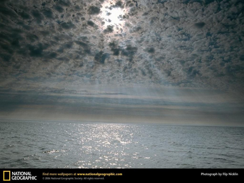 Atlantic Ocean off the Coast of Nova Scotia, Canada, 1997
Photograph by Flip Nicklin