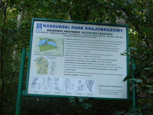 Rezerwat przyrody Szczelina Lechicka