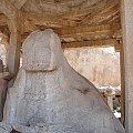 Byk, Imperium Vijayangar, Hampi