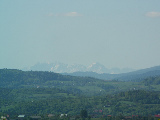 Widok na Pieniny