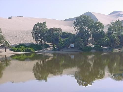 Oaza niedaleko miejscowości Ica, Peru