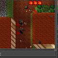 Test server #tibia #TestServer #TibiaTest