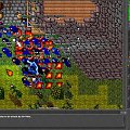 Test server #tibia #TestServer #TibiaTest