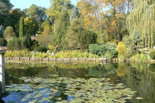 Stawu w arboretum - ciąg dalszy.