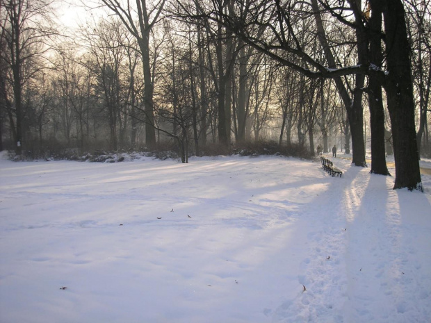 Park Skaryszewski w Warszawie w puchowej szacie