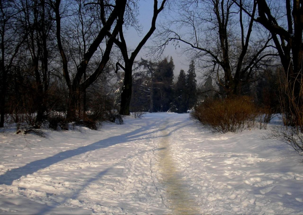 Park Skaryszewski w Warszawie w puchowej szacie