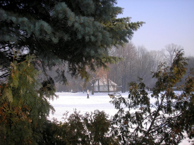 Park Skaryszewski w Warszawie w puchowej szacie