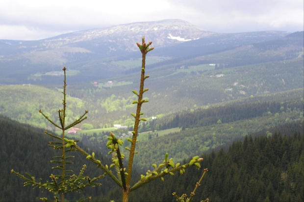 Mola, Tomek i Ania w Czeskich Karkonoszach