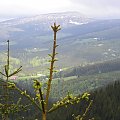 Mola, Tomek i Ania w Czeskich Karkonoszach