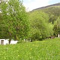 Mola, Tomek i Ania w Czeskich Karkonoszach