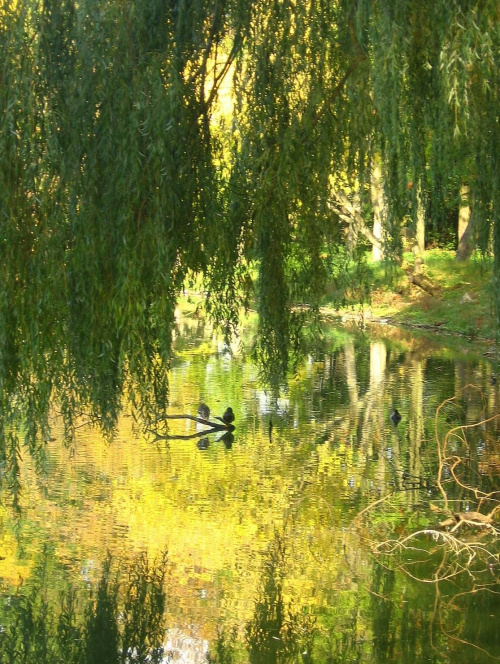 Jesień w Guzowie-pazdziernik2006