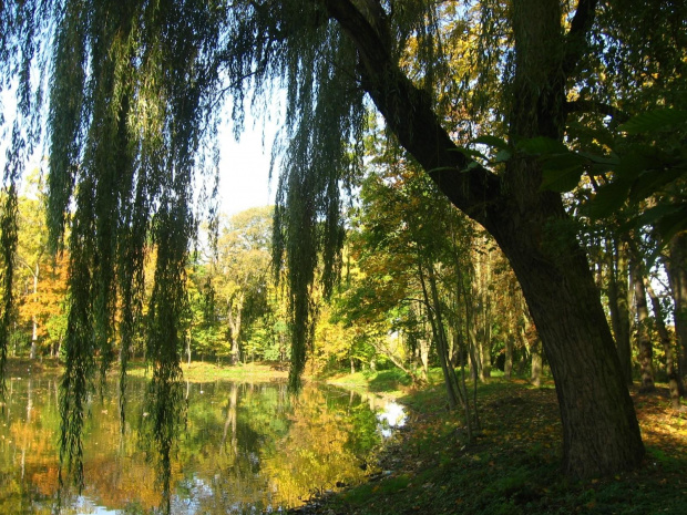 Jesień w Guzowie-pazdziernik2006