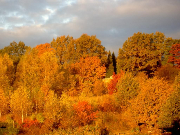 widok z okna pokoju dnia 25.10.2006 rano