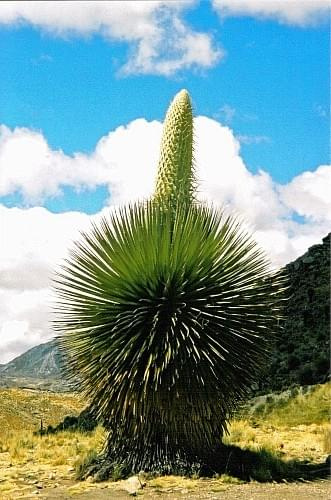 Cordilliera blanca, Peru