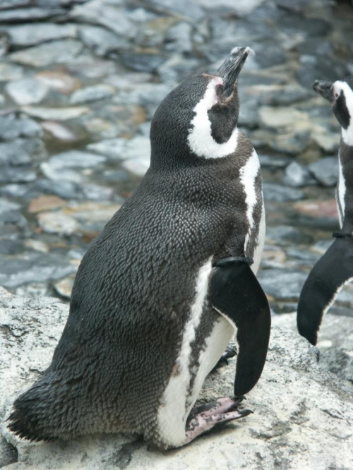 oceanarium