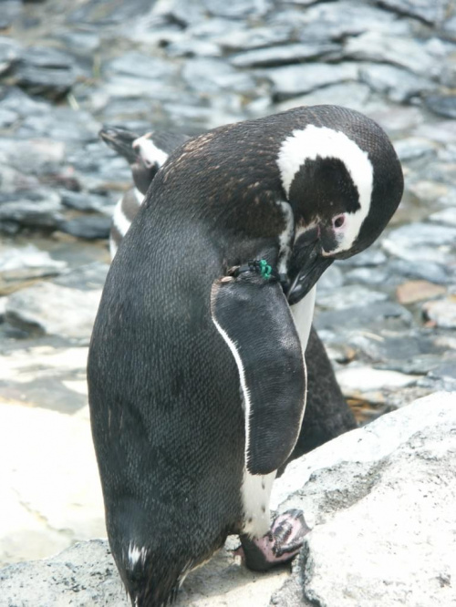 oceanarium