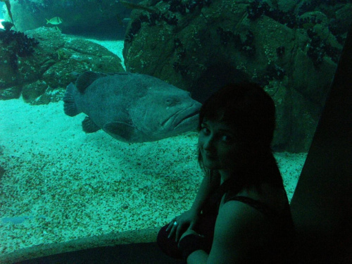 oceanarium