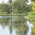 Białowieża