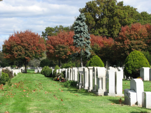 Jesien na cmentarzach NYC