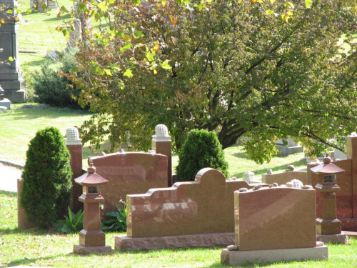 Spacerkiem po cmentarzu