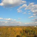 Siemianowice l. na horyzoncie wgórze Dorotka w Grodcu