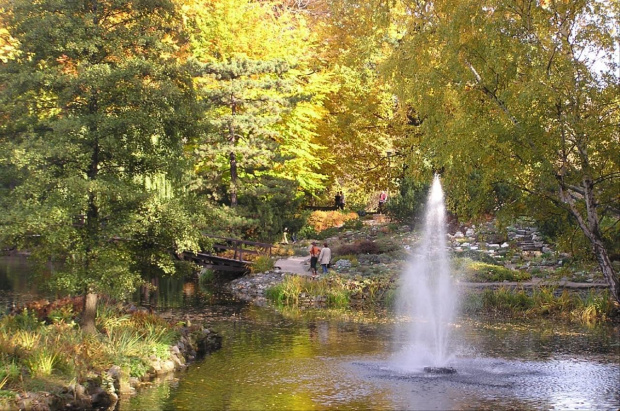 Ogród Botaniczny #Miasto #Wrocław