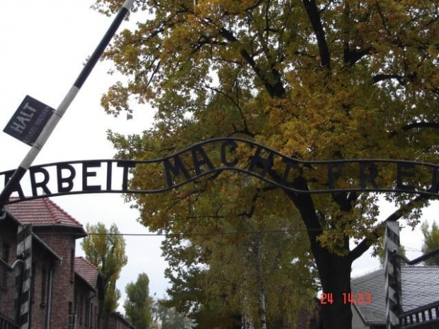 #Auschwitz #wycieczka #szkolne