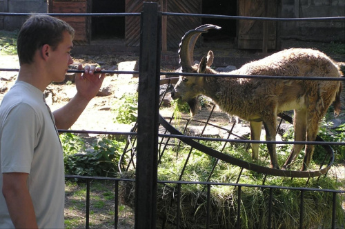 Wrocławskie ZOO #Miasto #Wrocław