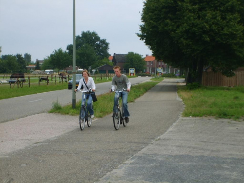 Ulubiony pojazd holendrów