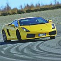 Gallardo