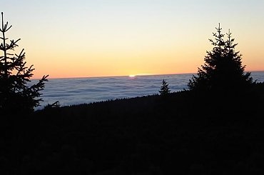 #przyroda #drzewa #lasy #chmury #niebo