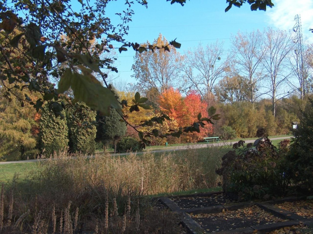 Ogród Botaniczny w Poznaniu