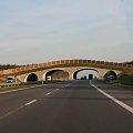 Zdjecia z A2 Odcinek Konin - Stryków