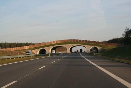 Zdjecia z A2 Odcinek Konin - Stryków