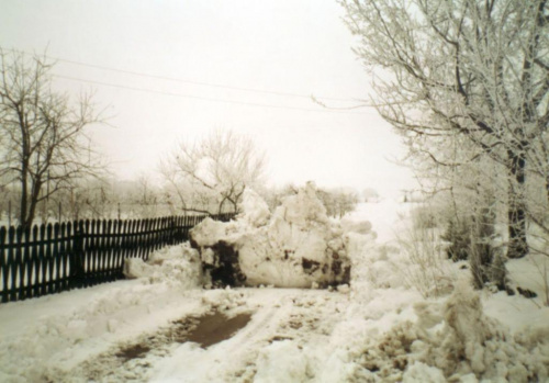 Zdjęcia zrobione w południe przy szesnastostopniowym mrozie. #las #pola #sad #uszyce #zima #śnieg