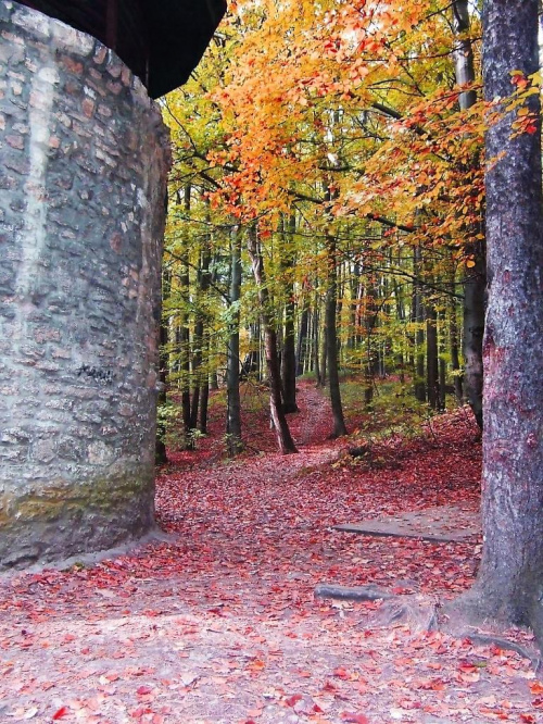 Tarnowskie Góry Repty #park #ReptyŚląskie #TarnowskieGóry #jesień #liście #sztolnia #szyb #MiroslawJupowicz