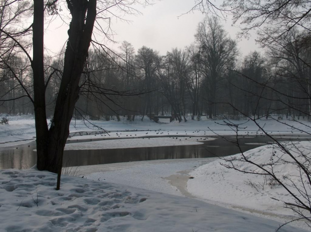 Piękny, zimowy pejzaż