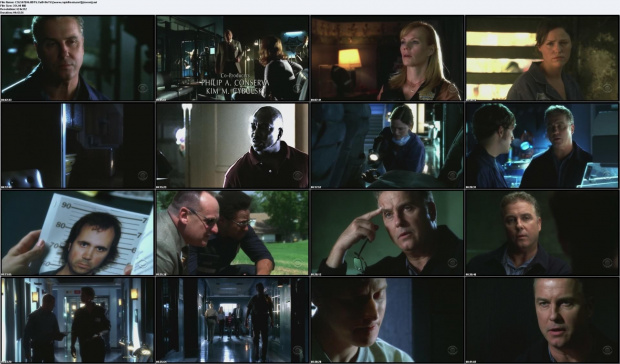 CSI s07e06