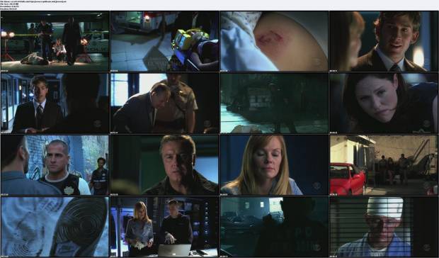 CSI s07e04