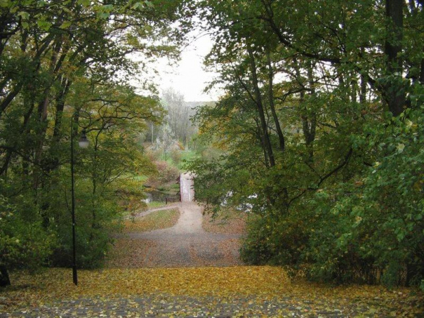 jesień w parku na Rybakach #park #drzewa