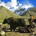 Mt. Kailash, Tibet