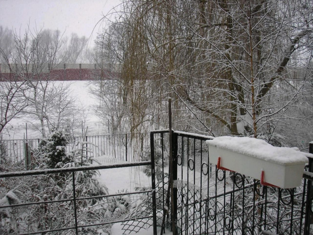 Widok za moim oknem, przed którym teraz siedzę. Przyznacie, NAJPIĘKNIEJSZA FOTOTAPETA, prawda?