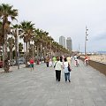 BCN