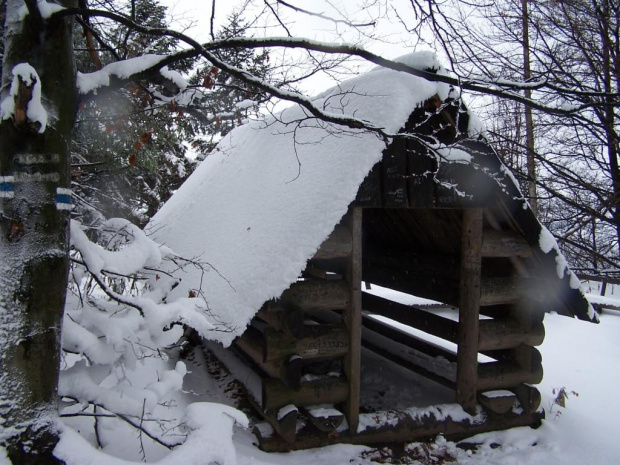 PIENINY- SROMOWCE NIżNE 2006